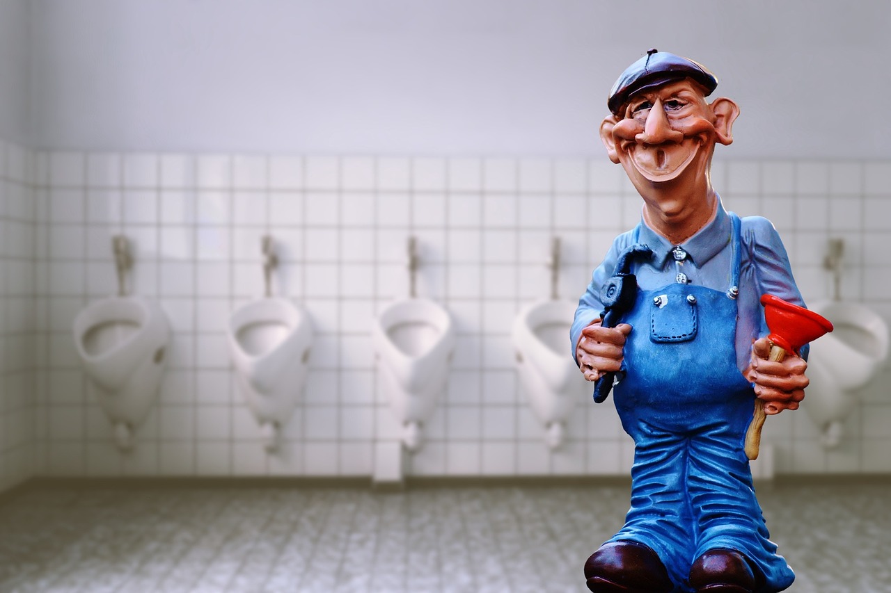 Professional plumber repairing a toilet in Eunice